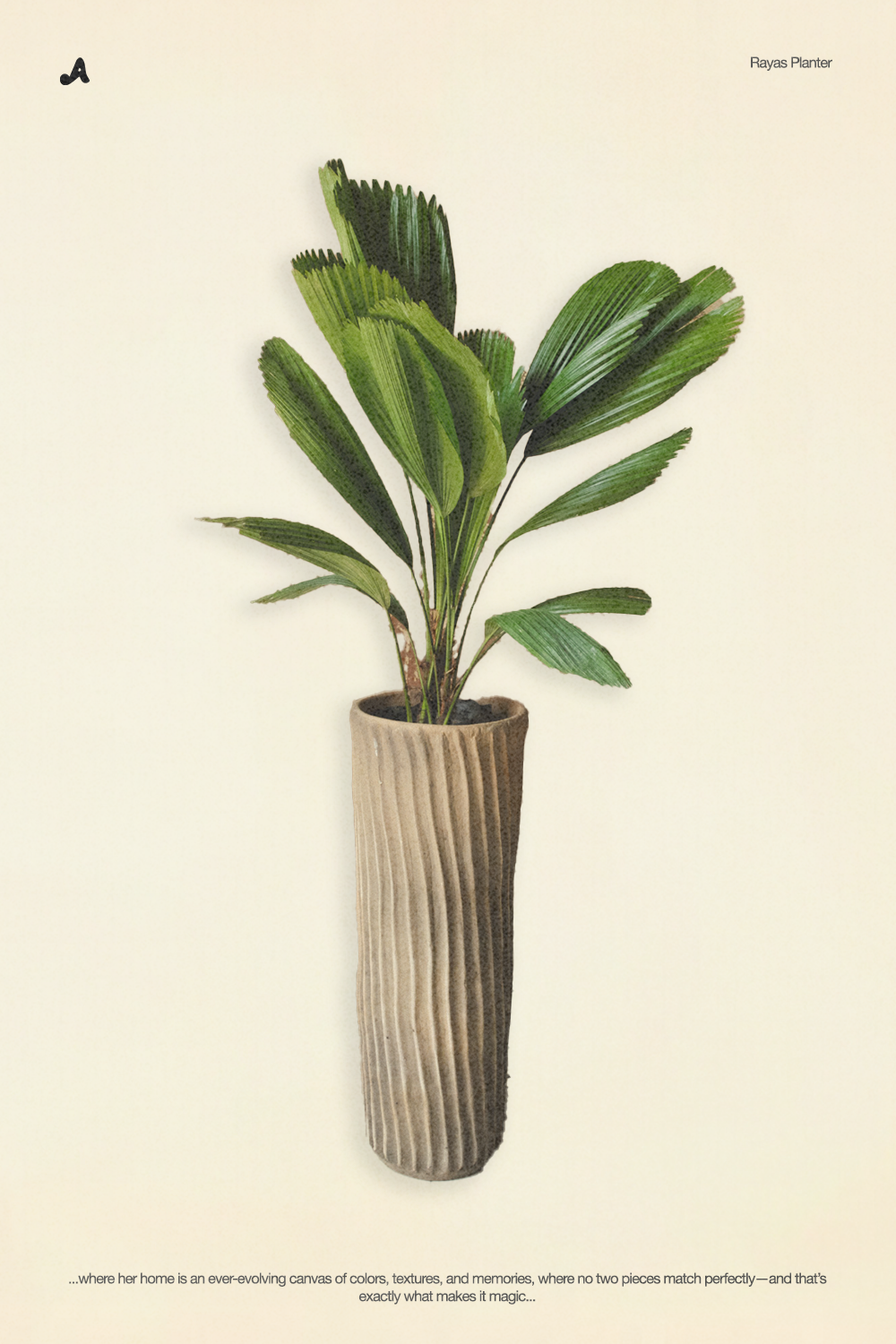Rayas Planter