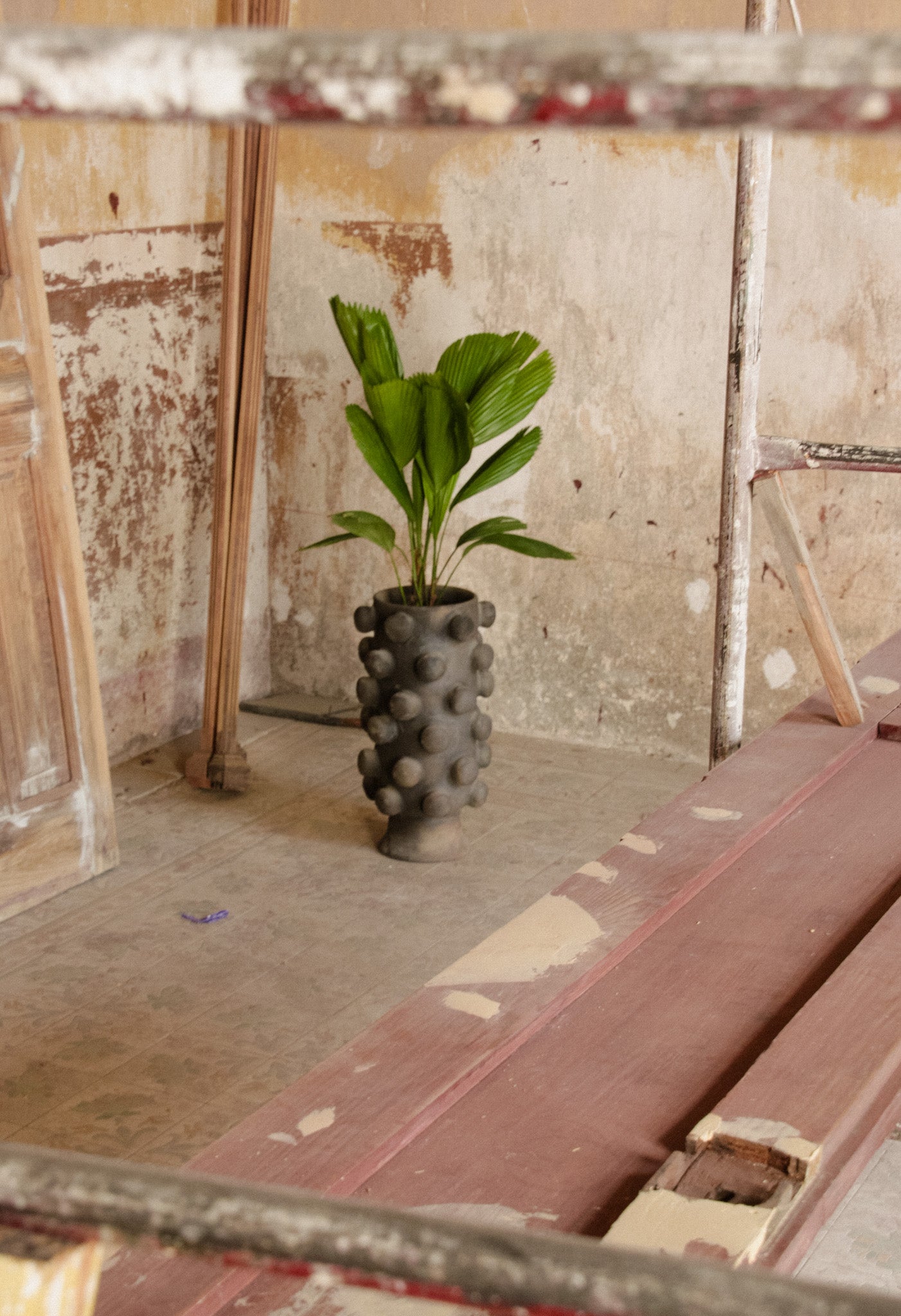 Dot Planter