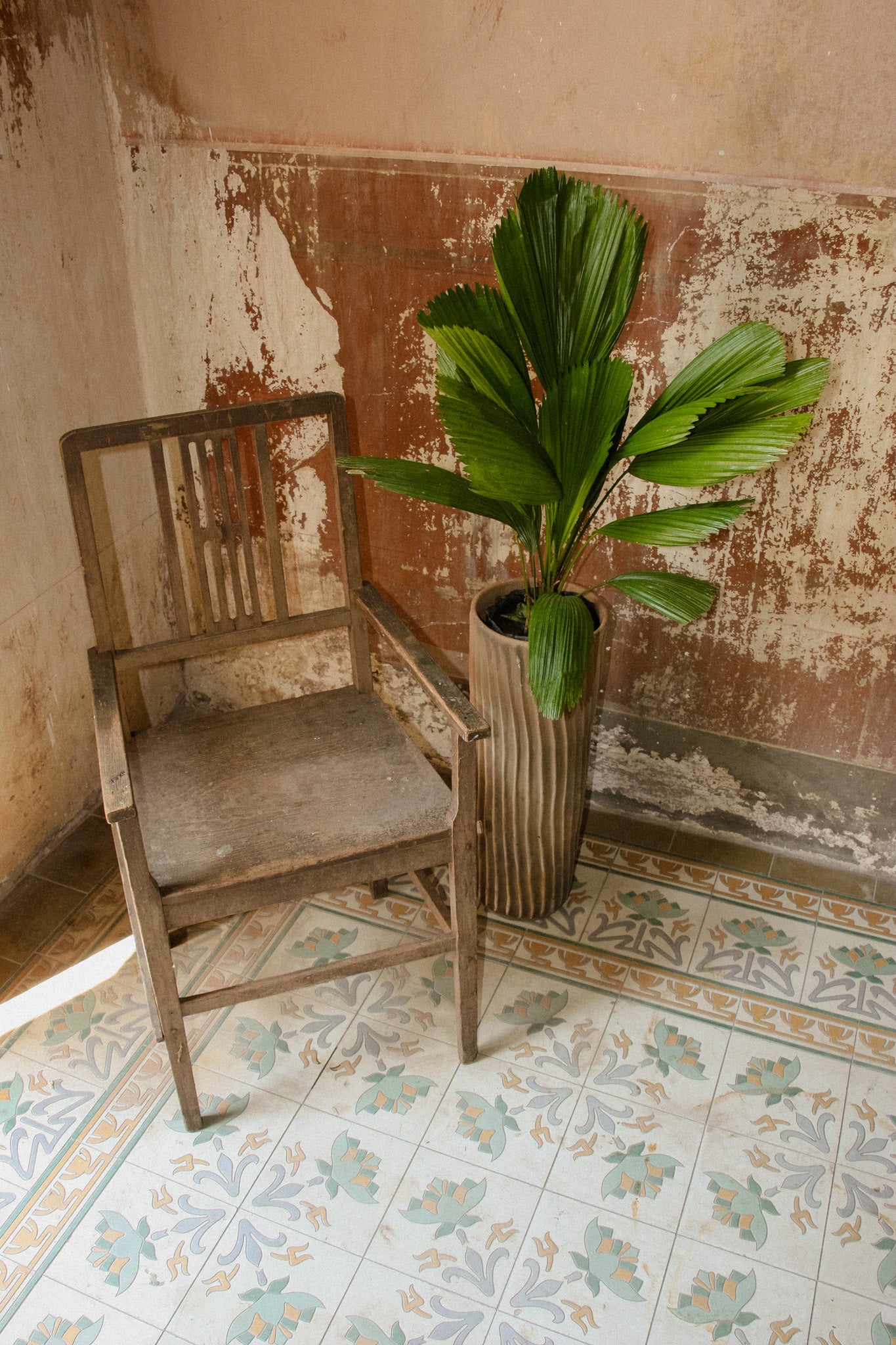 Rayas Planter