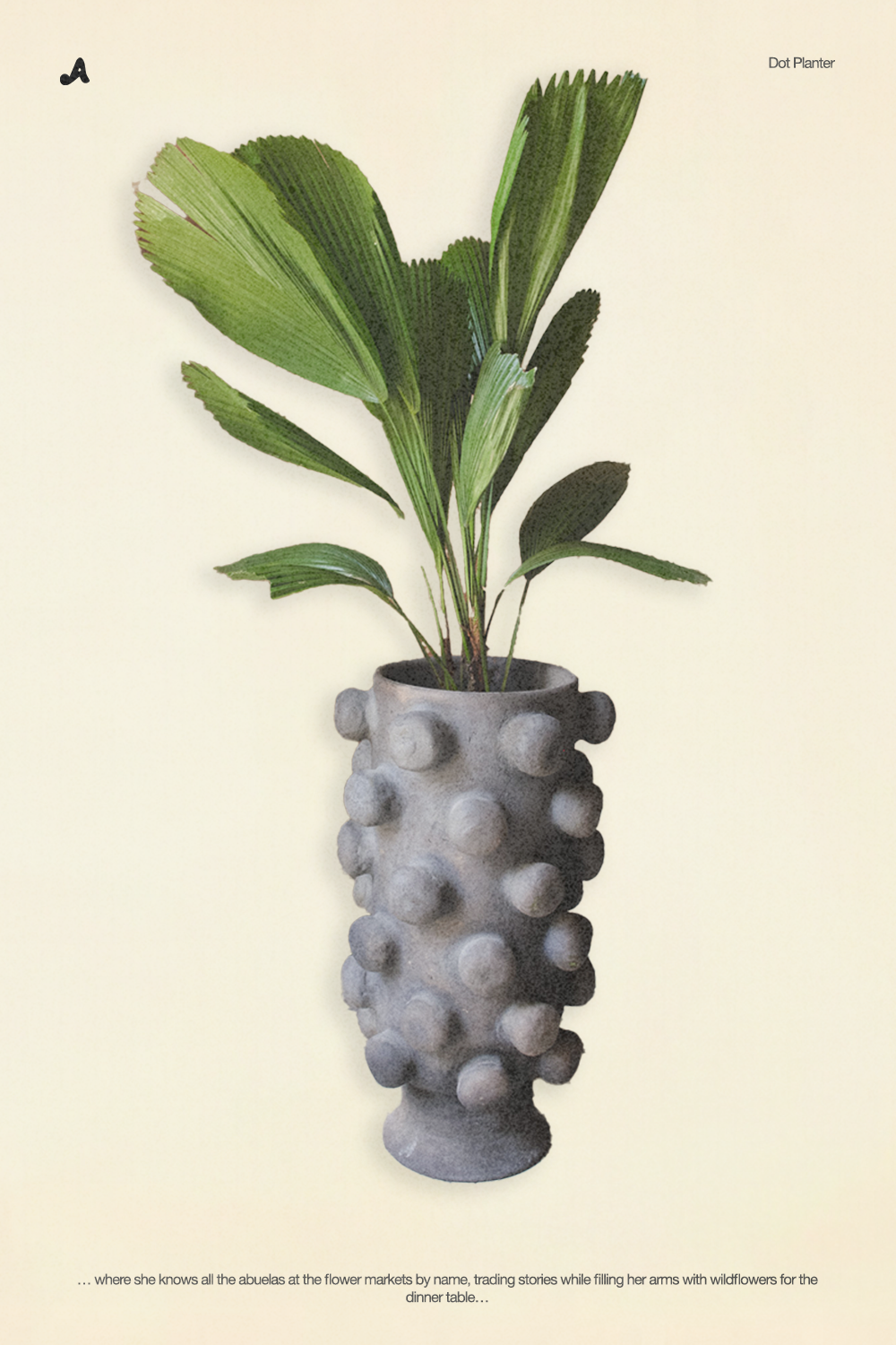 Dot Planter