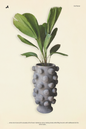 Dot Planter