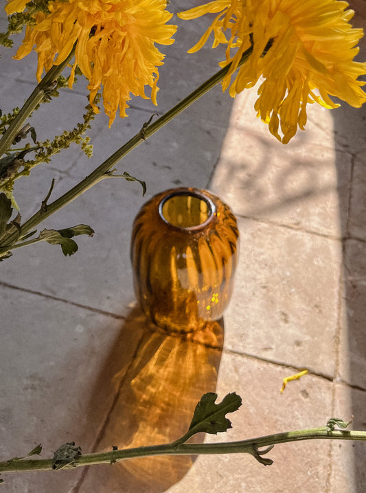 Sunbeam Vase
