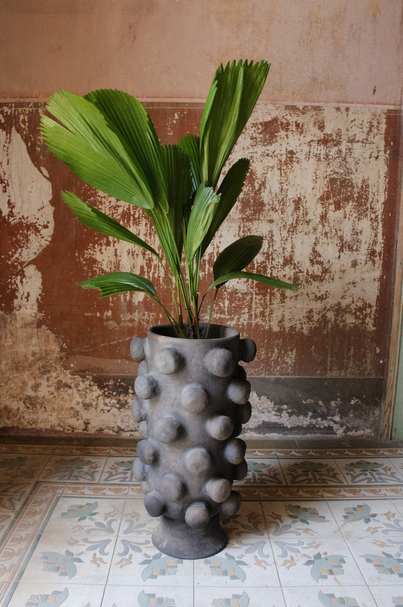 Dot Planter